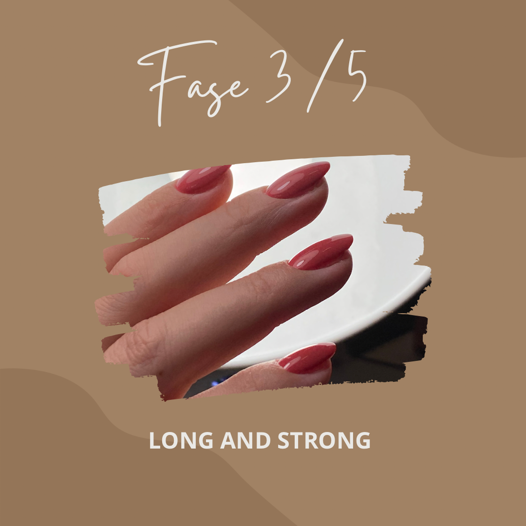 FASE 3 - LONG AND STRONG