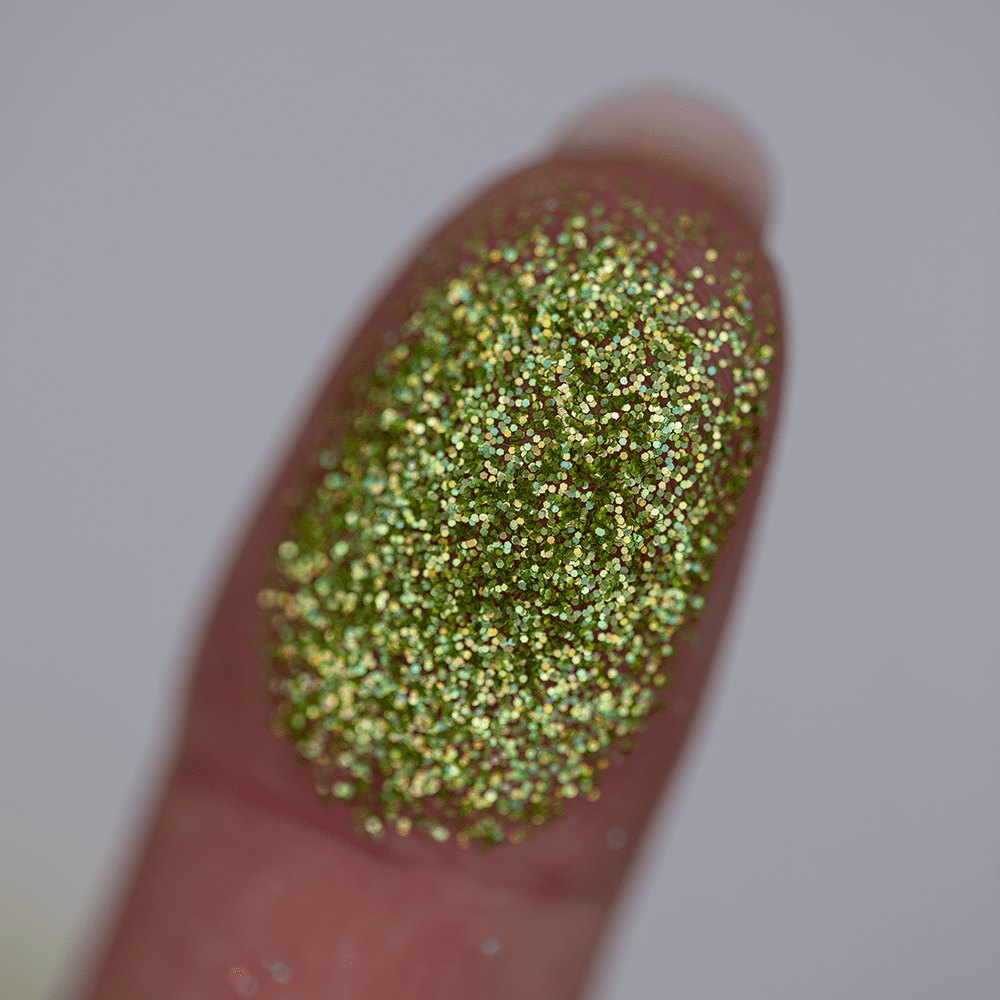 03 holo green anole