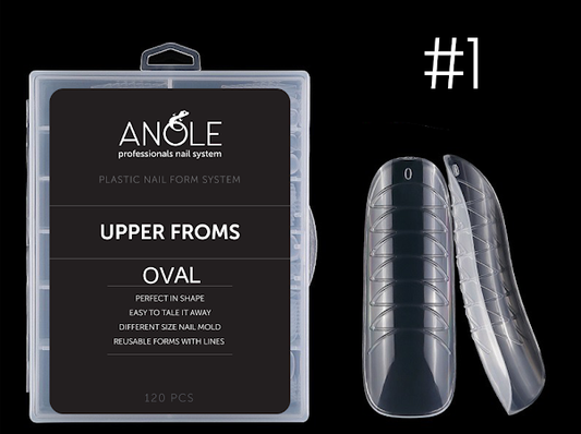 Anole upper forms 1 oval